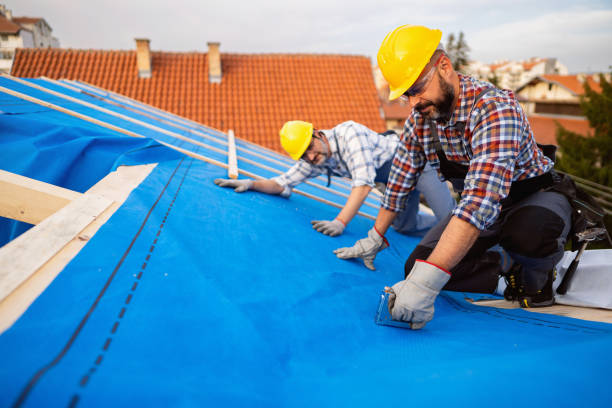 Best Roof Leak Repair  in Markham, IL